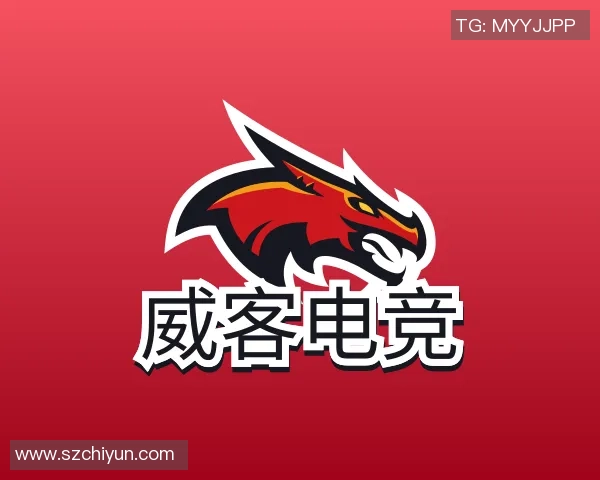 中超精彩对决切尔西逆转多特蒙德全场数据分析揭示比赛亮点