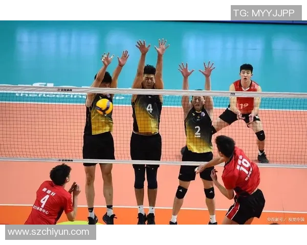 重庆排球队的团队协作精神与排球竞技的完美结合探讨